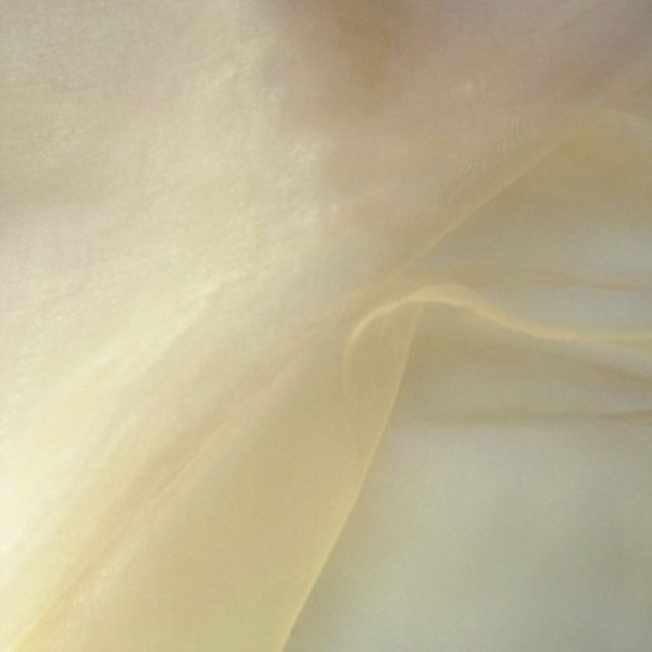 Organza BIRGIT champagner